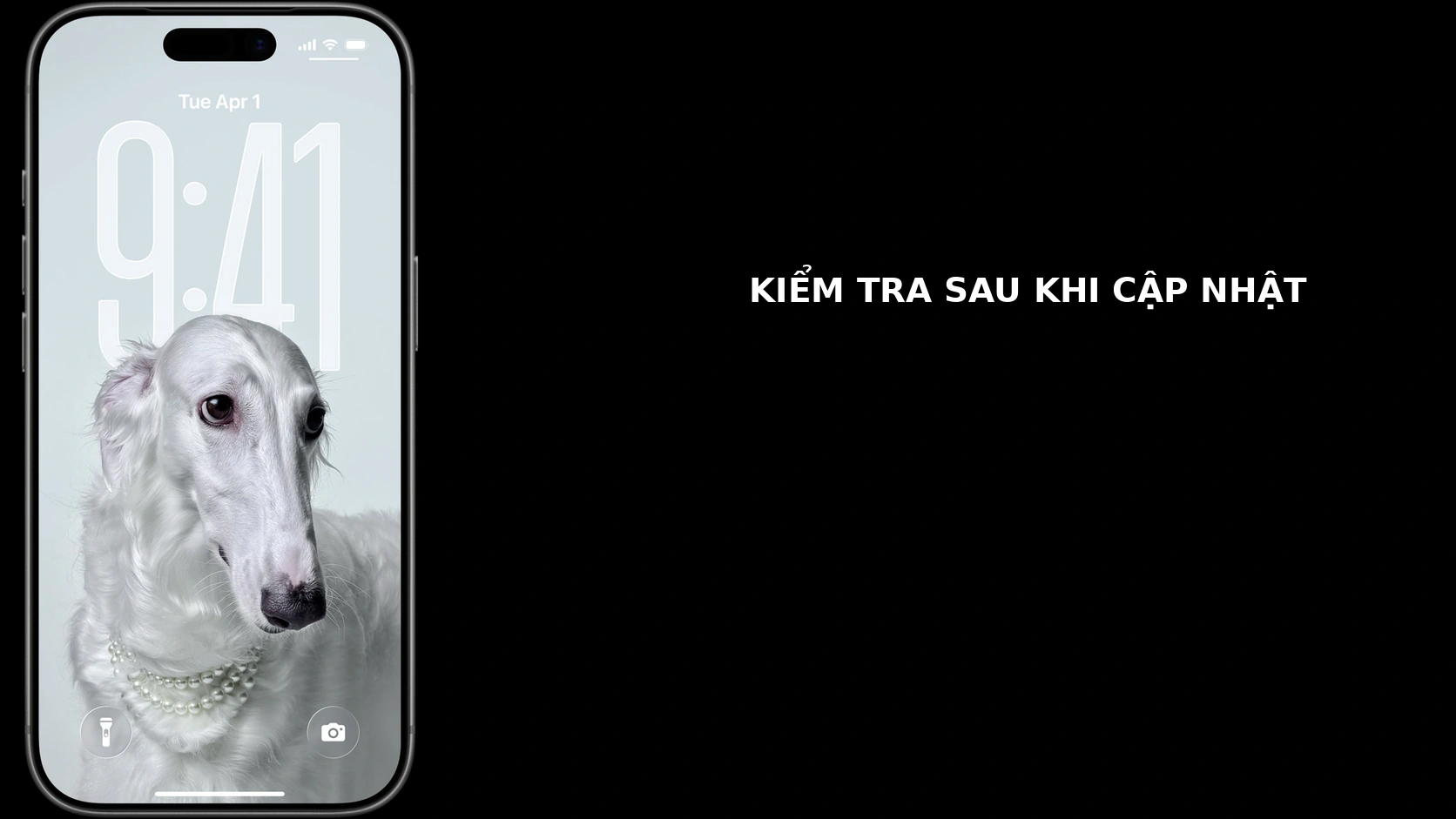 iPhone hiển thị màn hình khóa để kiểm tra sau khi cập nhật
